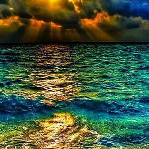 Meet your Posher, Frank